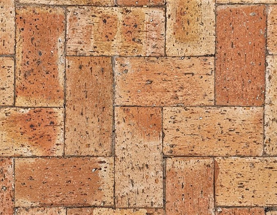 Local paving contractor advice from Mighty Contractors