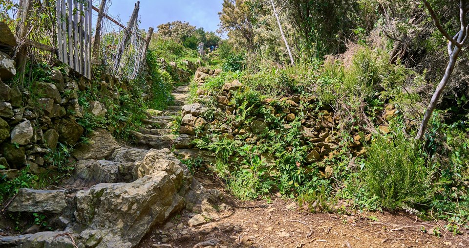 Garden steps retaining walls and outdoor groundwork by Mighty Contractors